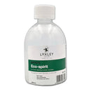 Artists’ Eco Spirit