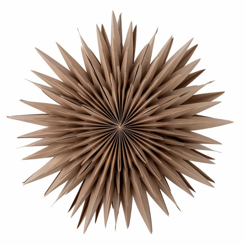 Elijas Star Light Brown