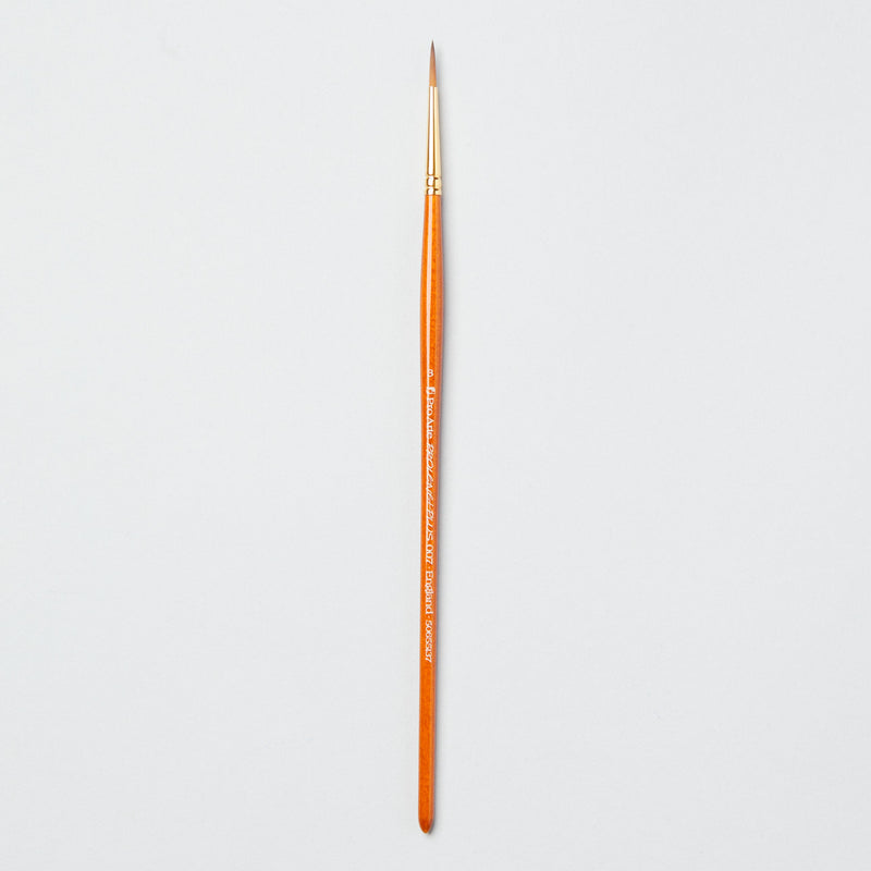 Pro-Arte Prolene Plus (Series 007)