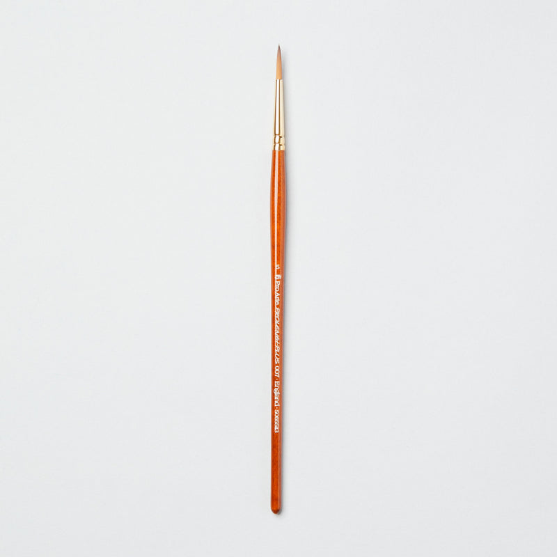 Pro-Arte Prolene Plus (Series 007)