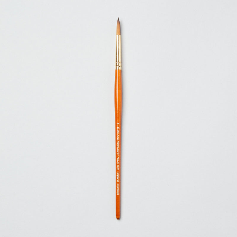Pro-Arte Prolene Plus (Series 007)