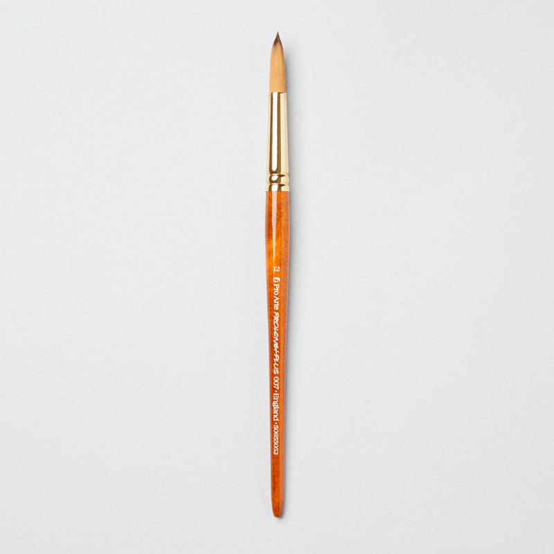 Pro-Arte Prolene Plus (Series 007)