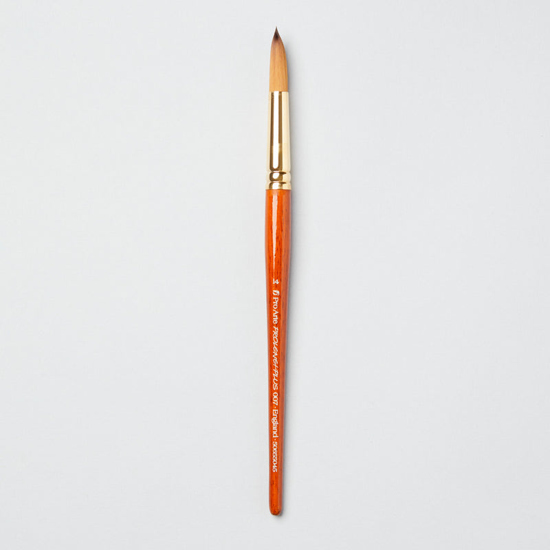 Pro-Arte Prolene Plus (Series 007)