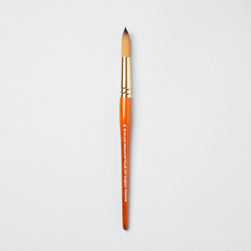 Pro-Arte Prolene Plus (Series 007)