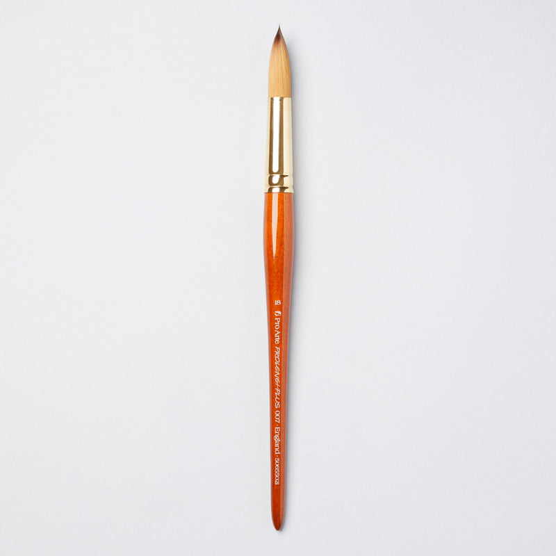 Pro-Arte Prolene Plus (Series 007)