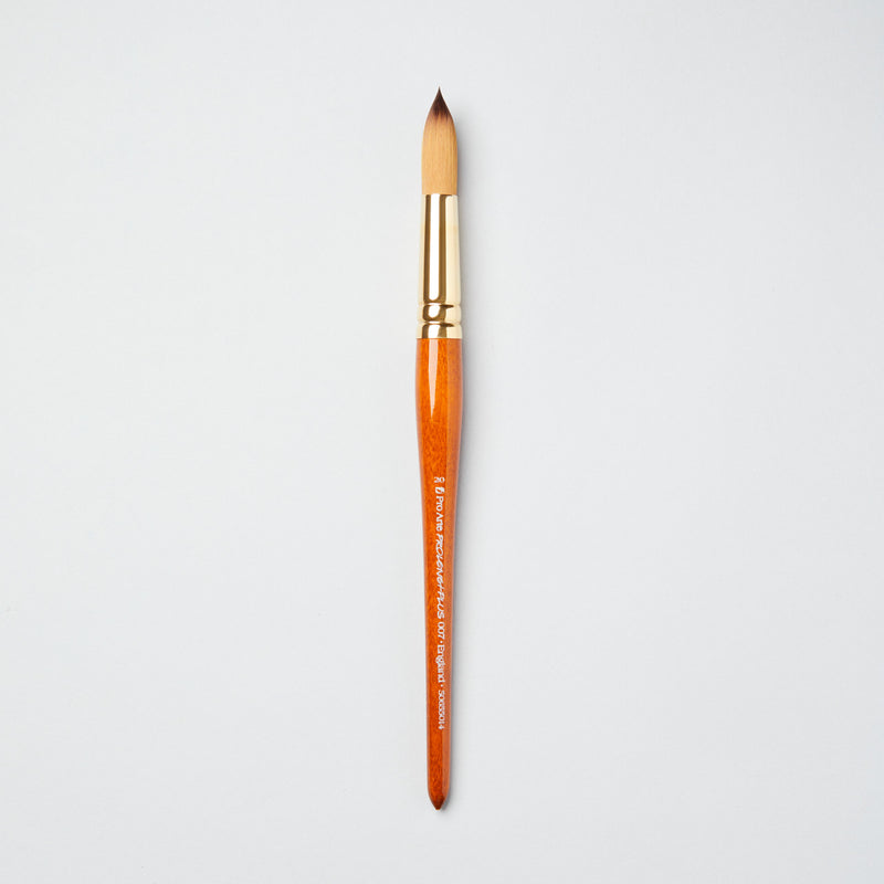 Pro-Arte Prolene Plus (Series 007)