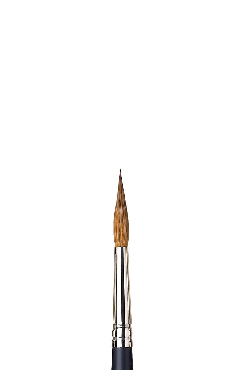 Winsor & Newton Artists' Watercolour Sable Brush (Pointed Round)