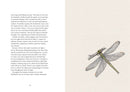 From Field & Forest: An Artist's Year in Paint and Pen by Anna Koska