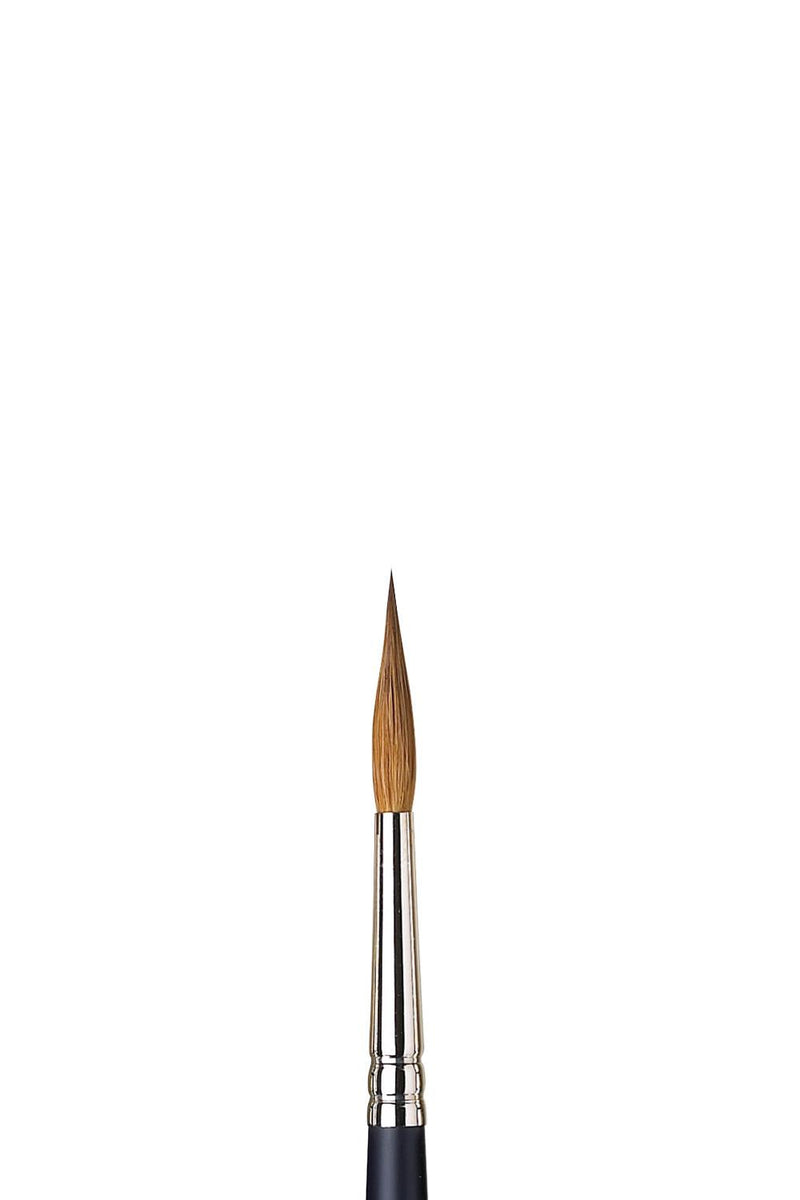 Winsor & Newton Artists' Watercolour Sable Brush (Pointed Round)