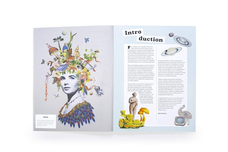 Extraordinary Things to Cut Out and Collage by Maria Rivans