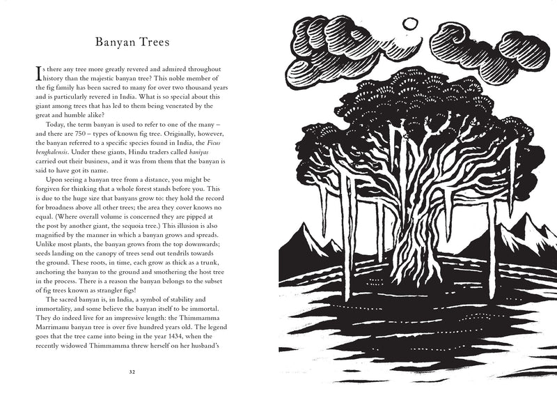 Treasury of Folklore Woodlands and Forests by Dee Dee Chainey & Willow Winsham
