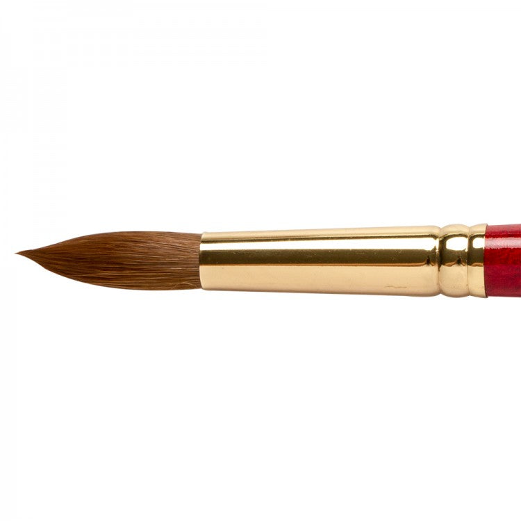 Winsor & Newton Sceptre Gold II Blended Brush (Series 101)