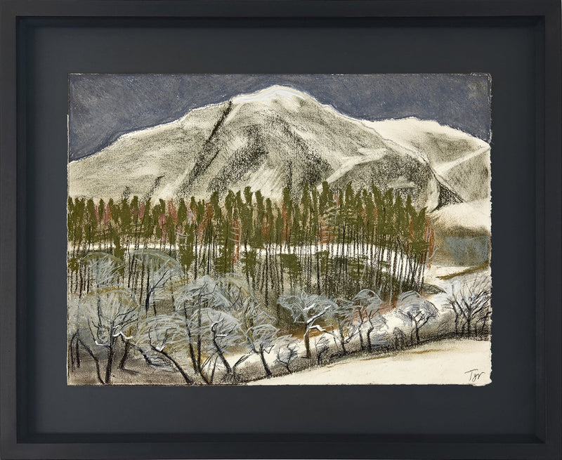 Corduroy Wood, Whiteside, Jan - Original Artwork (Tor Falcon)
