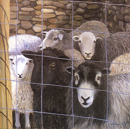 Joss's Sheep by Linda Cooper (née Ryle) (b. 1947)