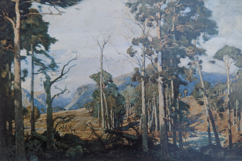 Mar Forest, Braemar by Alfred Heaton Cooper (1863 - 1929)