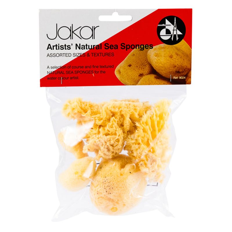 Natural Sea Sponges