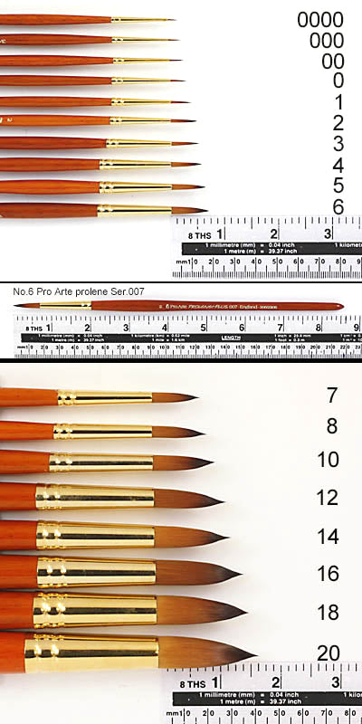Pro-Arte Prolene Plus (Series 007)